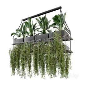 Indoor Hanging Plants in Metal Box Set